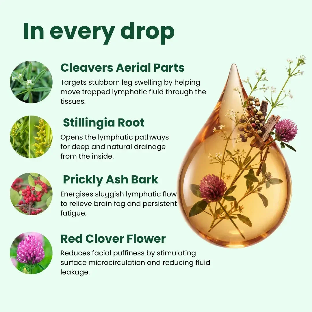 Lymphatic Drainage Drops